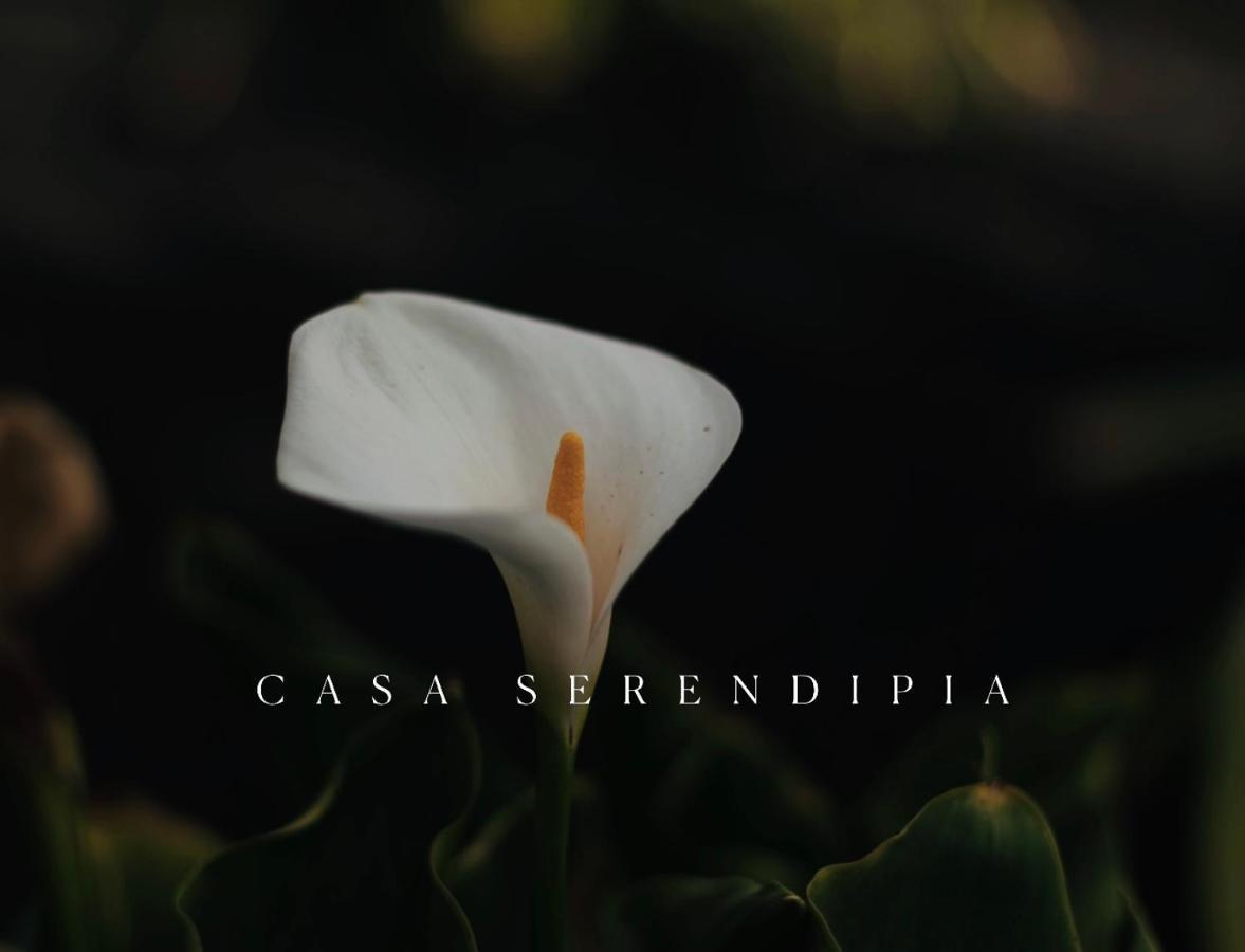 Casa Serendipia La Asomada  Екстериор снимка